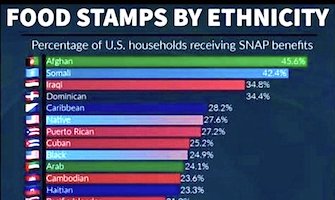 Food stamp usage by ethnicity