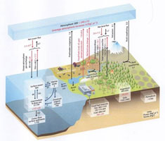 Greenhouse cycle