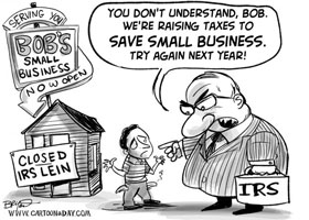 IRS vs small business