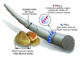 PM 2.5 scale