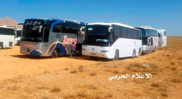 IS buses