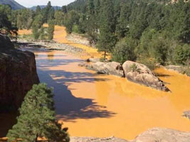 Animas river