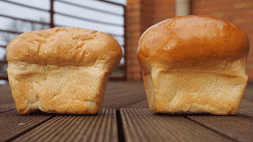 Half-baked science