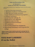 Landrieu flyer