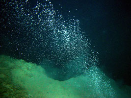 Natural methane bubbles