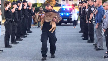 Police dog