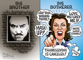Whitmer cartoon
